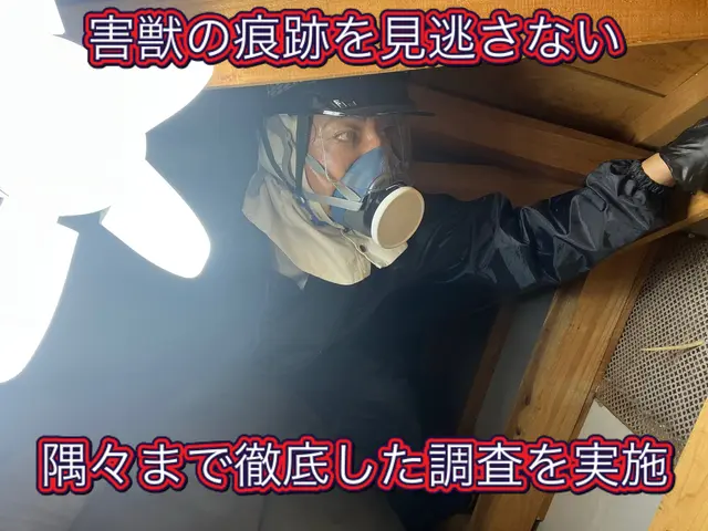 狩猟免許、防除作業監督者の有資格者の駆除専門家が対応します。ノミダニ対策も完備サービスの画像