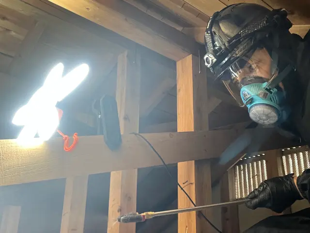 狩猟免許、防除作業監督者の有資格者の駆除専門家が対応します。ノミダニ対策も完備サービスの画像