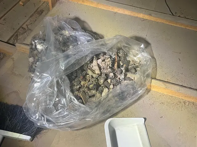 狩猟免許、防除作業監督者の有資格者の駆除専門家が対応します。ノミダニ対策も完備サービスの画像