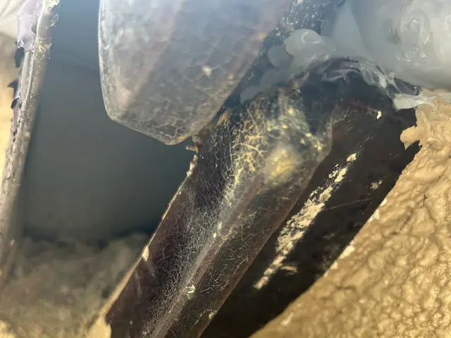 糞被害が止まらないコウモリ対策放置されてませんか？非常に危険です。相談だけでも○サービスの画像