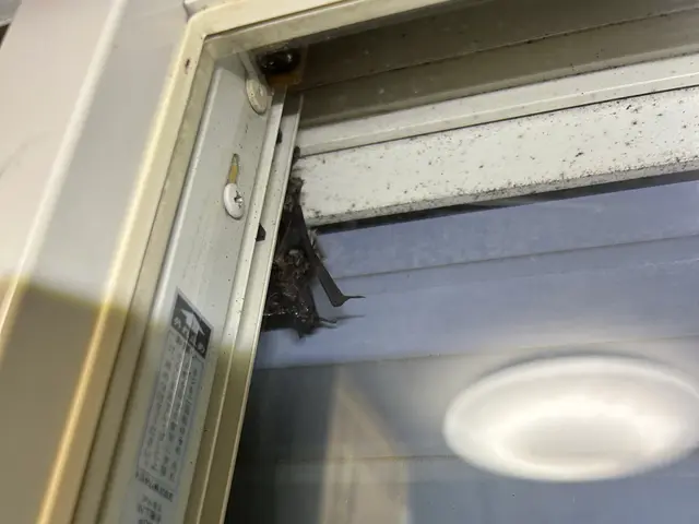 糞被害が止まらないコウモリ対策放置されてませんか？非常に危険です。相談だけでも○サービスの画像