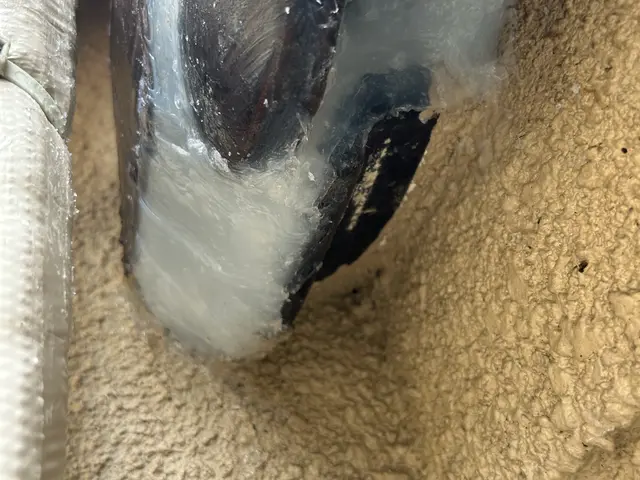 糞被害が止まらないコウモリ対策放置されてませんか？非常に危険です。相談だけでも○サービスの画像