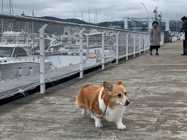 高校時代からの豊富な経験で自然な笑顔を引き出す丁寧な出張撮影サービス