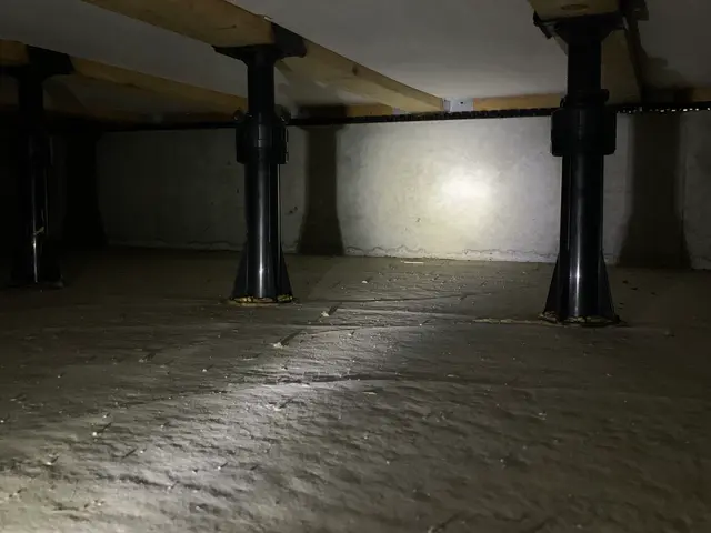 (戸建て住宅専門)害虫駆除ネズミ駆徐なんでも相談可サービスの画像