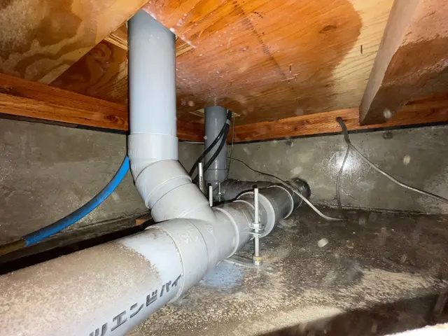 (戸建て住宅専門)害虫駆除ネズミ駆徐なんでも相談可サービスの画像