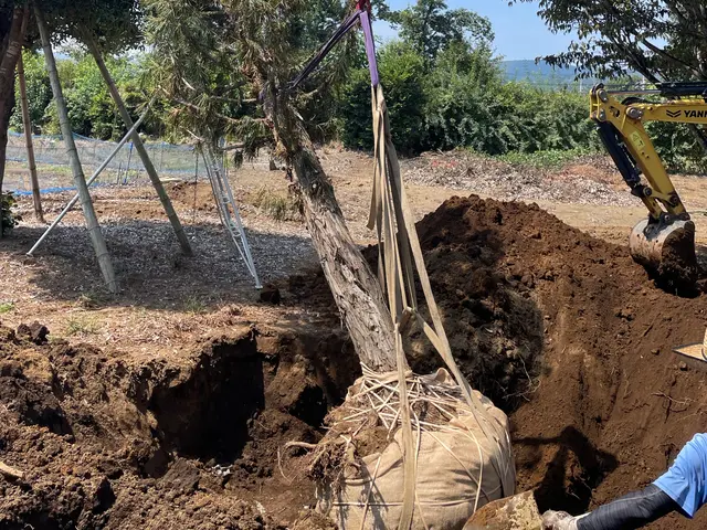 【業歴30年の実績】年中無休◎女性スタッフ同行可◎駐車場代当店負担サービスの画像