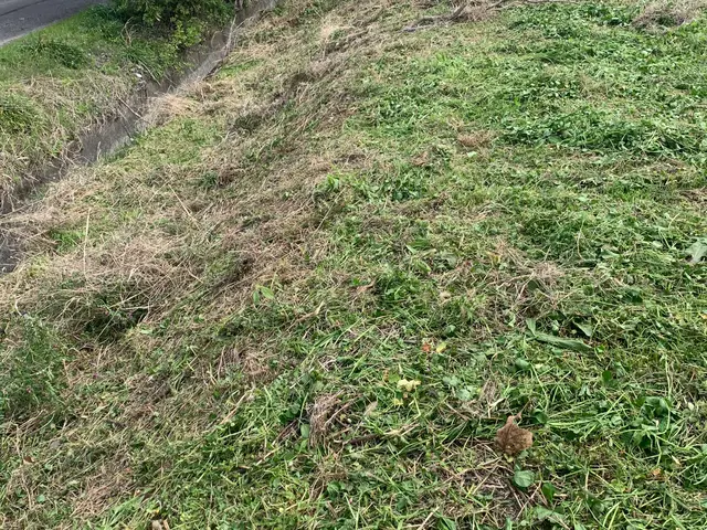 損害保険加入済で安心！親切・丁寧に対応いたします。☆特典付きもう一つサービス追加サービスの画像