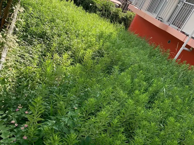 損害保険加入済で安心！親切・丁寧に対応いたします。☆特典付きもう一つサービス追加サービスの画像