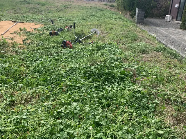 損害保険加入済で安心！親切・丁寧に対応いたします。☆特典付きもう一つサービス追加サービスの画像