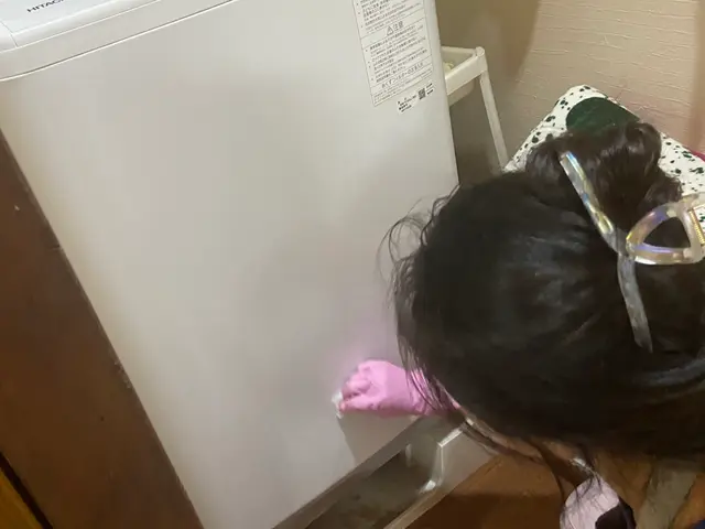 女性＆中国語対応スタッフの丁寧な洗濯機クリーニング（分解なし）サービスの画像