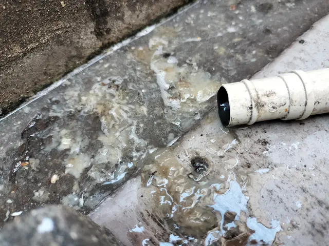 丁寧な作業と心のこもったサービス！丁寧・迅速・安心の三拍子そろった快適空間づくりサービスの画像