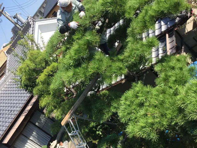 【年中無休！】個人宅メインにしている会社ですので安心してお任せください！！サービスの画像