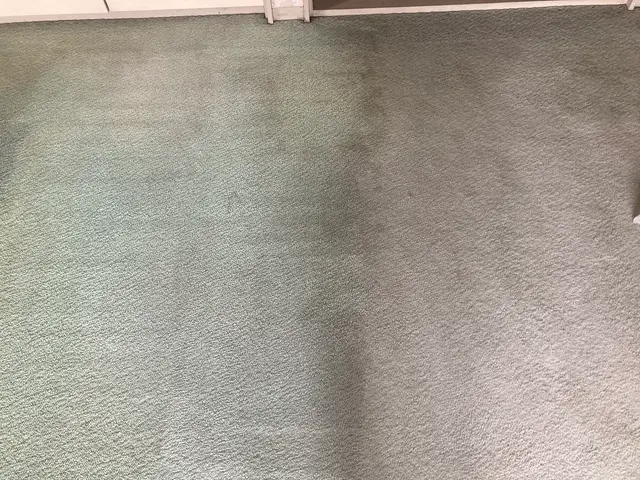 大切なお部屋を、丁寧・安心クリーニング。カーペットの汚れ、プロにお任せください。サービスの画像