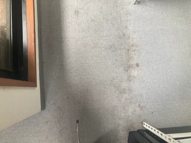 大切なお部屋を、丁寧・安心クリーニング。カーペットの汚れ、プロにお任せください。サービスの画像