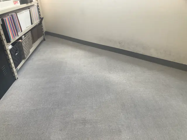 大切なお部屋を、丁寧・安心クリーニング。カーペットの汚れ、プロにお任せください。サービスの画像