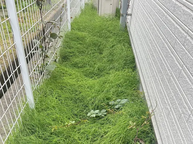 若い力で丁寧に円滑に作業いたします！サービスの画像