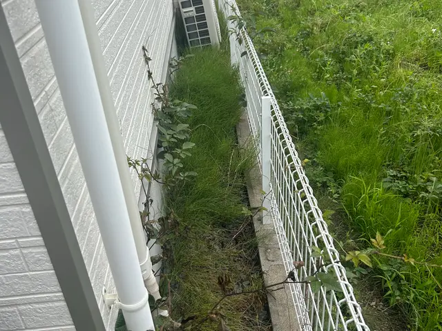 若い力で丁寧に円滑に作業いたします！サービスの画像