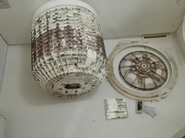 分解清掃○引越○出産前○水通し前○秋価格サービス中○　当日決済2000円OFFサービスの画像