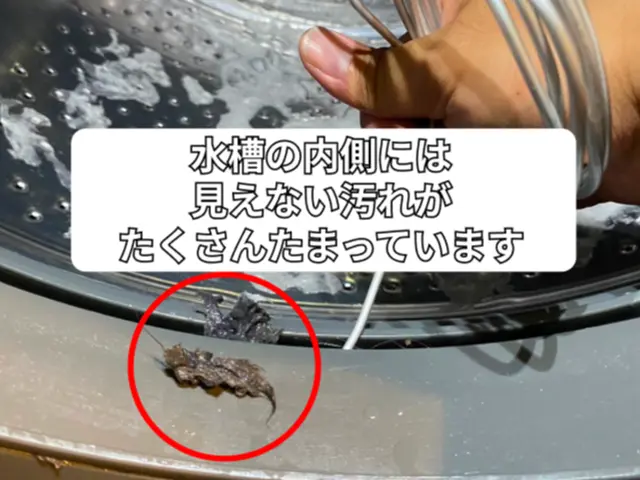 ☆東芝専門☆９月予約枠あり◇落下◇◉非喫煙◆損害保険加入◆ヒーポン対応★枠残り僅サービスの画像