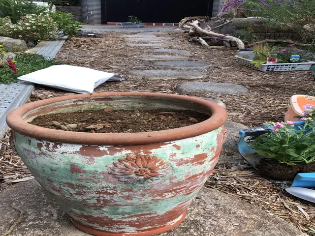 ○草抜き◯草刈り◯お庭の整理◯もう生えなくすることもできます。仕事は早いですよ。サービスの画像