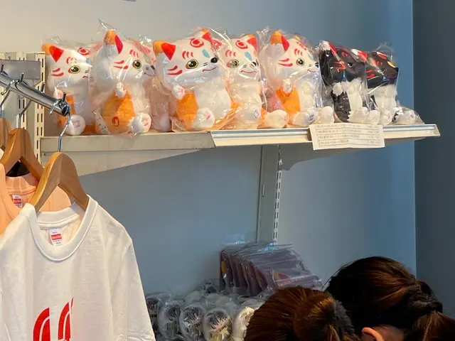 大阪在住のスタッフがお買い物代行、全国発送いたします！サービスの画像