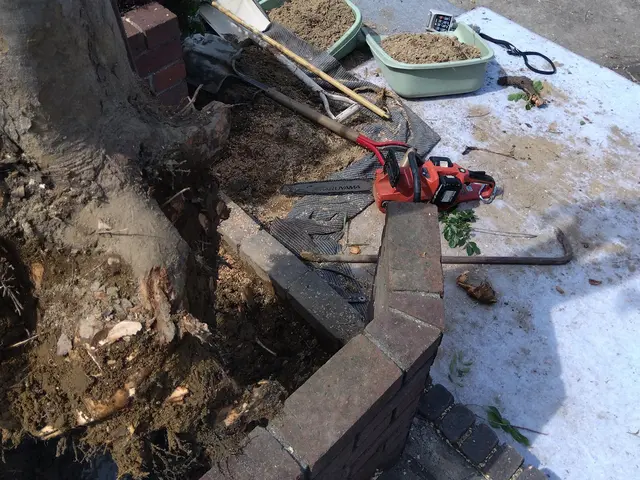 損害保険加入済み◎豊富な経験と知識で安心！何でも当店へお任せください！サービスの画像