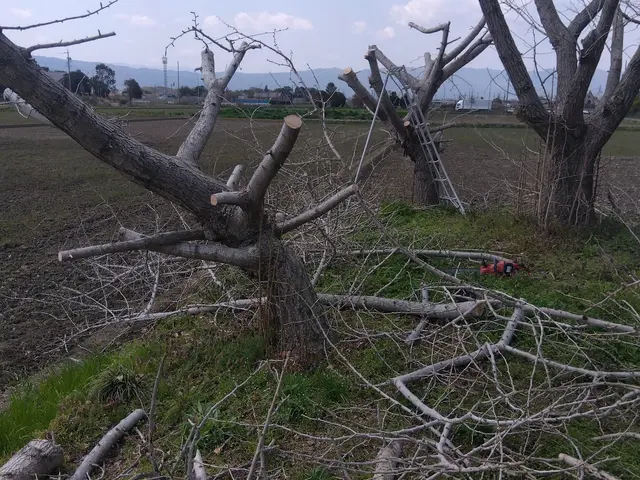 損害保険加入済み◎豊富な経験と知識で安心！何でも当店へお任せください！サービスの画像