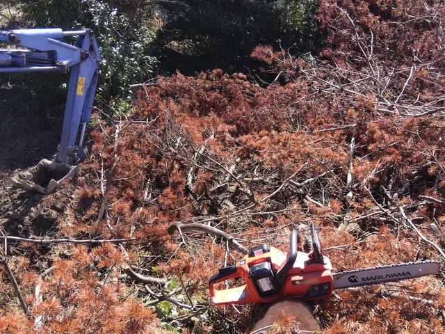 損害保険加入済み◎豊富な経験と知識で安心！何でも当店へお任せください！サービスの画像