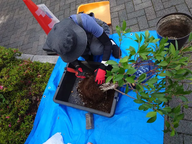豊富な経験で安心！女性スタッフ同行可能♪アフターケアも力入れています！サービスの画像