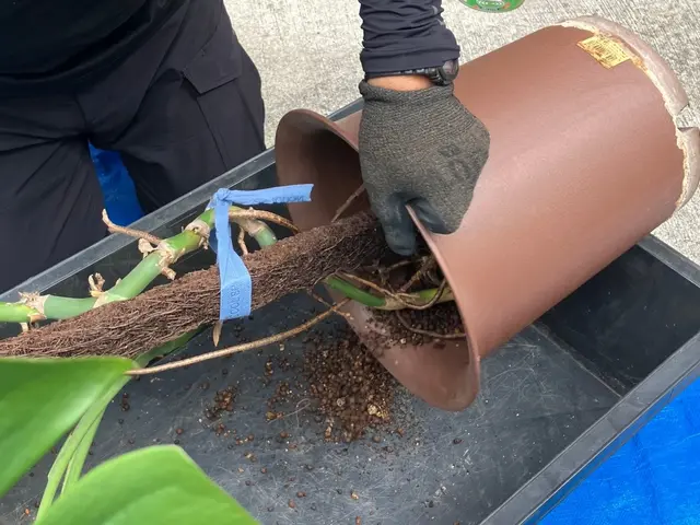 豊富な経験で安心！女性スタッフ同行可能♪アフターケアも力入れています！サービスの画像