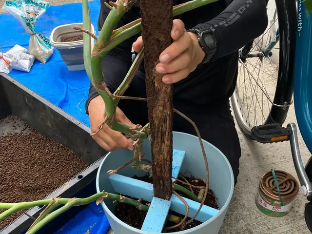 豊富な経験で安心！女性スタッフ同行可能♪アフターケアも力入れています！サービスの画像