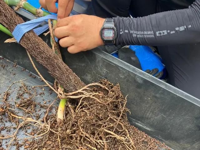 豊富な経験で安心！女性スタッフ同行可能♪アフターケアも力入れています！サービスの画像