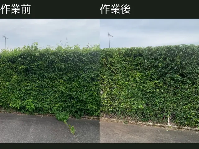 “なんでも屋さん”ではマネできない【プロの技術】をお約束します！サービスの画像