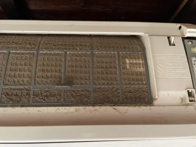 夏に繁殖した黒カビは暖房前に綺麗に！ご依頼は2台割引15,800円〜！サービスの画像