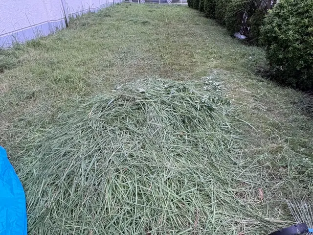 草ぼうぼうでも大丈夫！丁寧・安心の草刈りサービス！サービスの画像