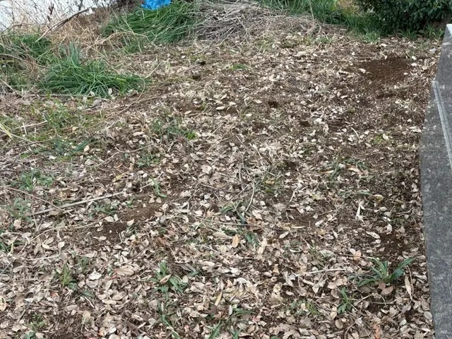 ★ 草ぼうぼうでも大丈夫！気持ちもすっきり丁寧・安心の草刈りサービス！サービスの画像