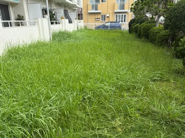草ぼうぼうでも大丈夫！丁寧・安心の草刈りサービス！サービスの画像