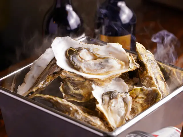 【北海道全域〇】撮影実績100件以上！イベント・記念写真・ブライダル・PRなどサービスの画像