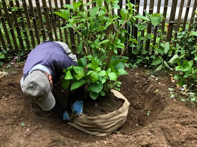 業歴25年以上の2級造園施工管理技士が対応致します！◎お気軽にご相談くださいサービスの画像