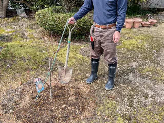 業歴25年以上の2級造園施工管理技士が対応致します！◎お気軽にご相談くださいサービスの画像