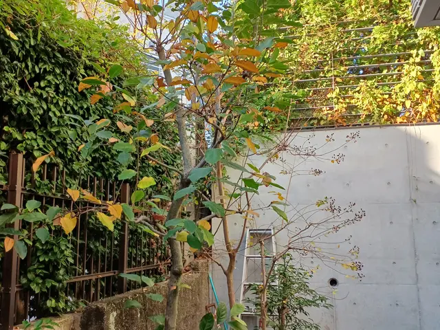 【町田市発】駐車場代当店負担◎営業時間外・対応地域外のご予約もご相談ください！サービスの画像