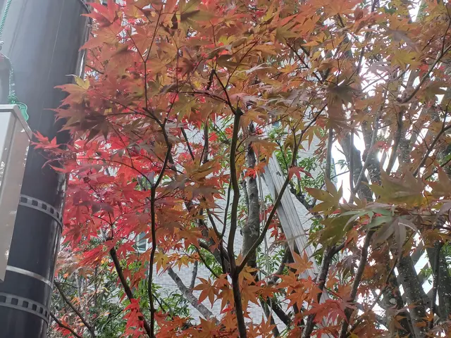 【町田市発】駐車場代当店負担◎営業時間外・対応地域外のご予約もご相談ください！サービスの画像