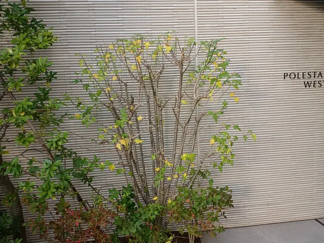 【町田市発】駐車場代当店負担◎営業時間外・対応地域外のご予約もご相談ください！サービスの画像