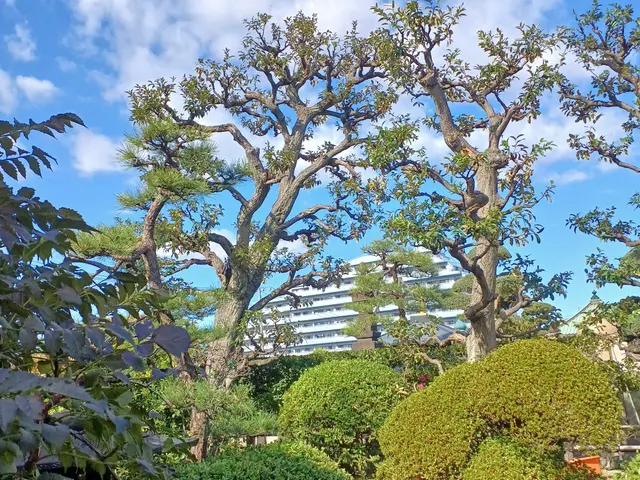 【町田市発】駐車場代当店負担◎営業時間外・対応地域外のご予約もご相談ください！サービスの画像