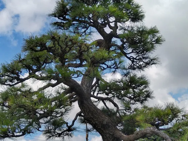 【町田市発】駐車場代当店負担◎営業時間外・対応地域外のご予約もご相談ください！サービスの画像