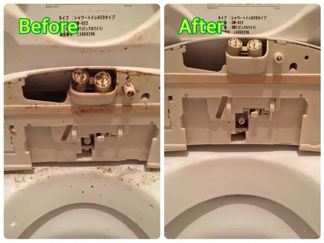 毎日使うトイレを清潔に。気になる汚れは全て落とします！サービスの画像