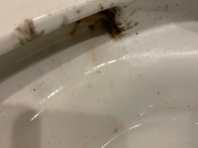 毎日使うトイレを清潔に。気になる汚れは全て落とします！サービスの画像