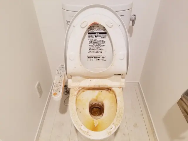 毎日使うトイレを清潔に。気になる汚れは全て落とします！サービスの画像