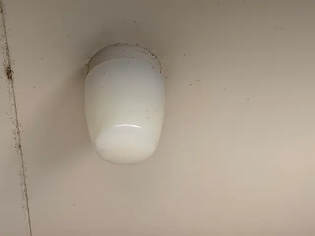 葛飾区の電気工事店　地域密着型　電気工事士対応の照明・シーリング取付サービスサービスの画像