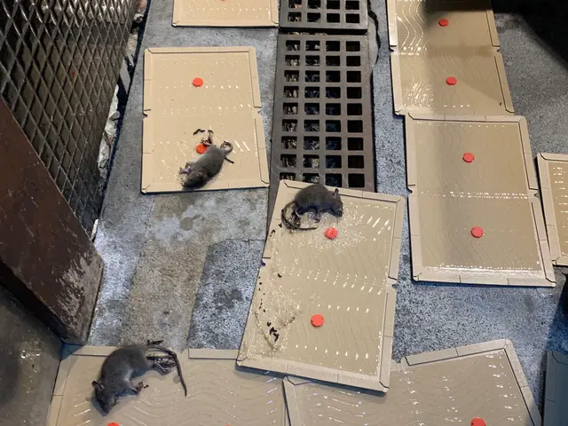 ★業界20年以上の経験実績★様々な現場に対応します！●クレジットカード払いOK●サービスの画像